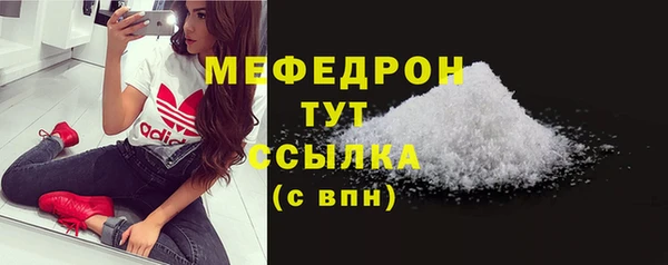 тгк Дмитриев