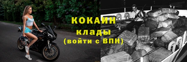 тгк Дмитриев