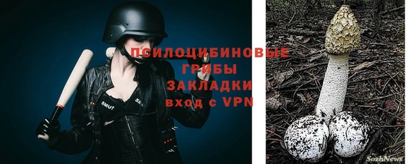 mix Дмитров