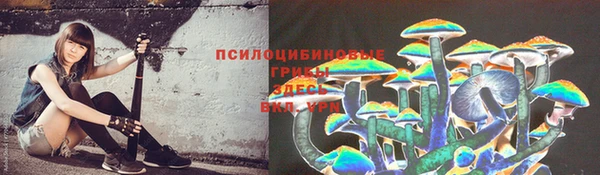 тгк Дмитриев