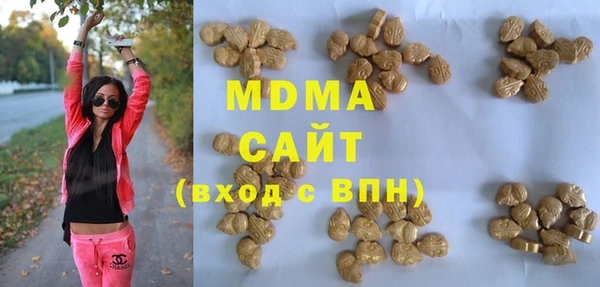 тгк Дмитриев